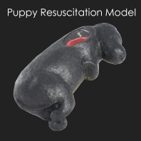 Puppy Resuscitation Model